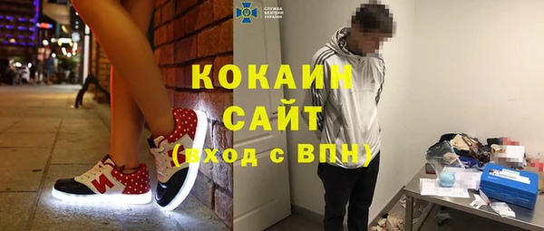 амф Верхний Тагил
