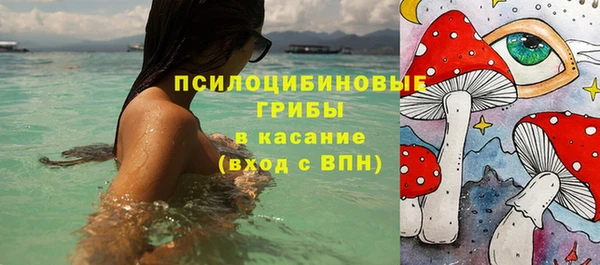 эйфоретик Бородино
